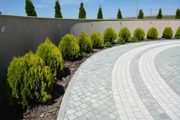 Best Residential Paver Driveway  in New Lenox, IL